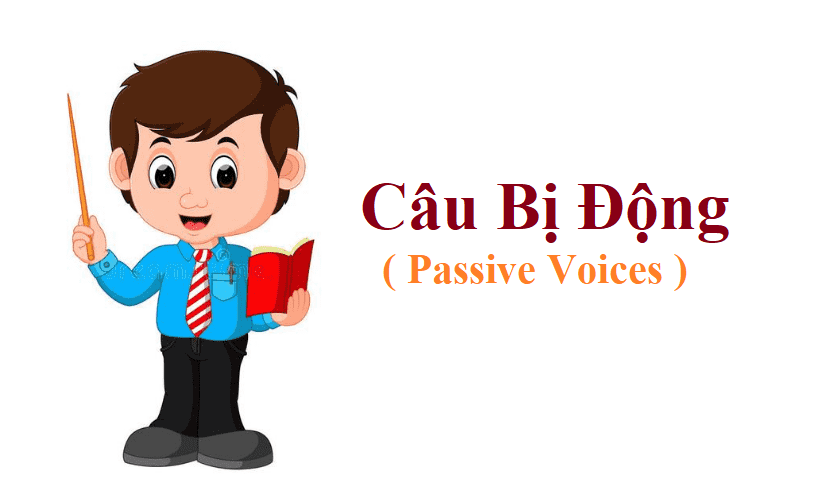 Câu bị động trong Tiếng Anh