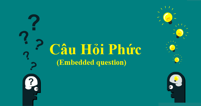Câu hỏi phức trong tiếng anh