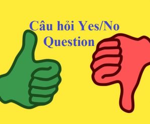 Câu hỏi Yes/ No Question
