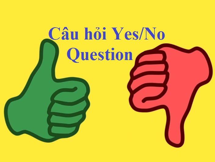 Câu hỏi Yes/ No Question