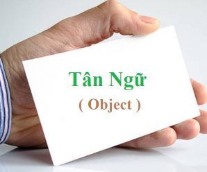 Tân ngữ trong tiếng anh (Object)
