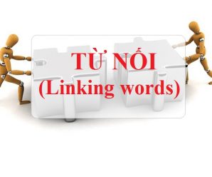 Từ nối – Linking words